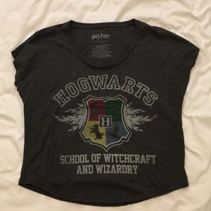 ❗️LAST CHANCE❗️Harry Potter Hogwarts Tee